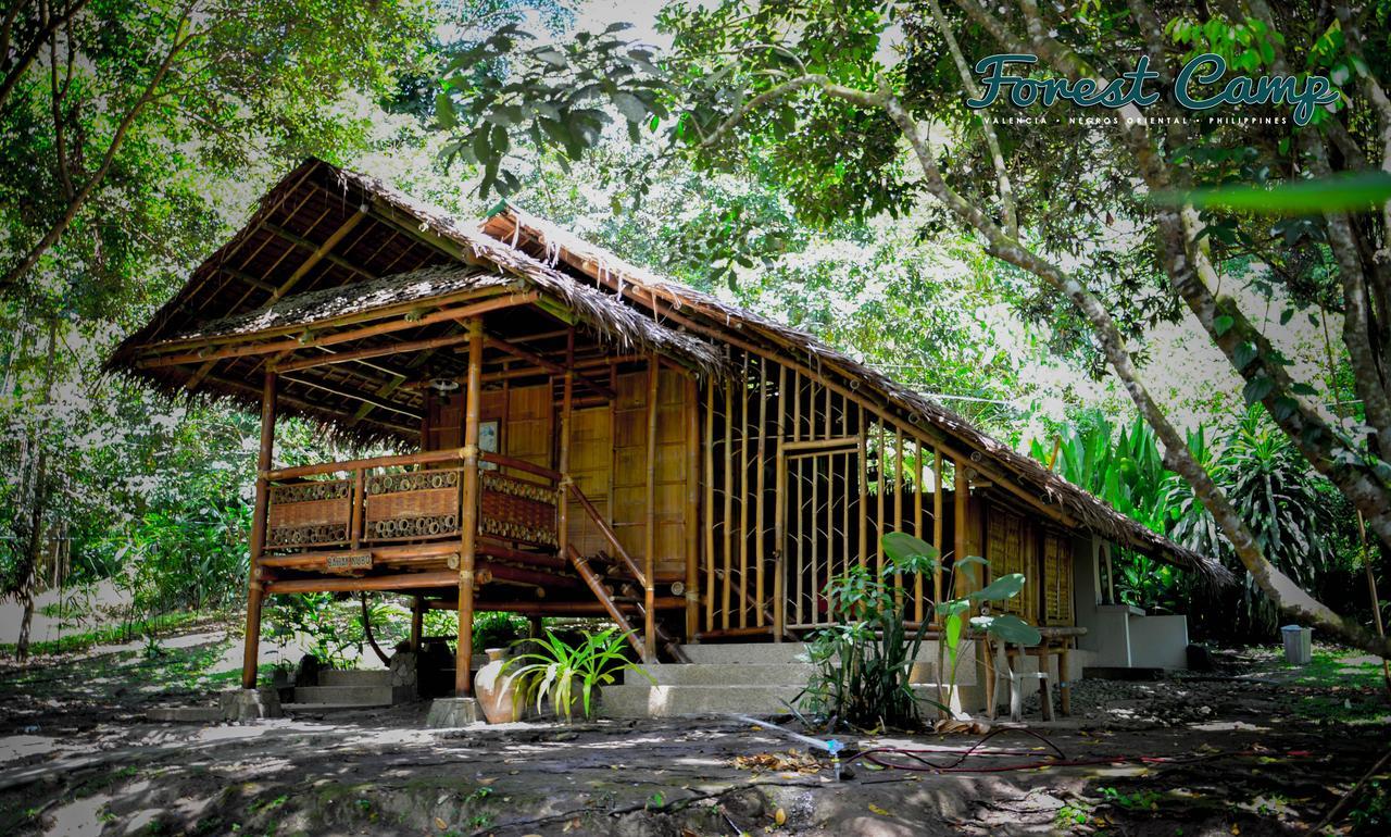 Forest Camp Resort Valencia  Exterior foto